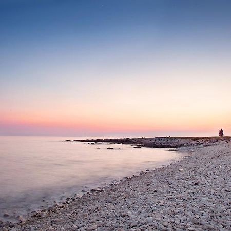 Studio Apartment Ljubica For 2 Persons 150M From The Beach Poreč Eksteriør billede
