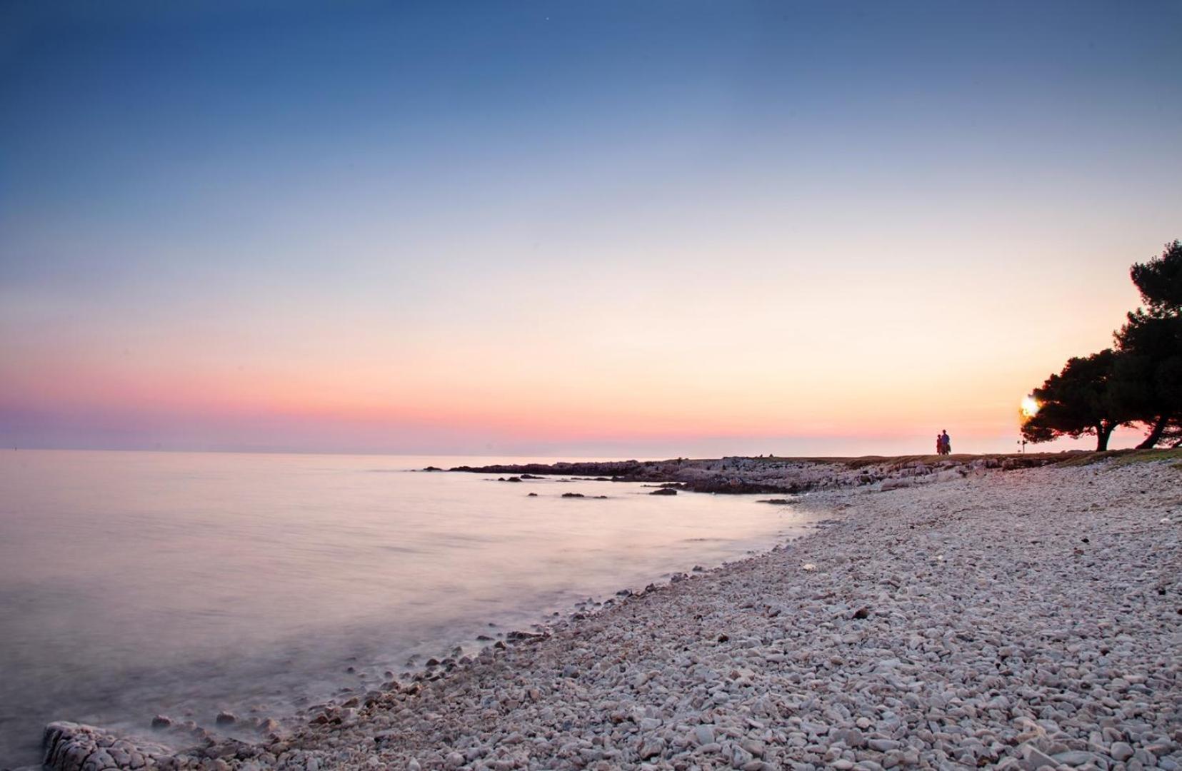Studio Apartment Ljubica For 2 Persons 150M From The Beach Poreč Eksteriør billede