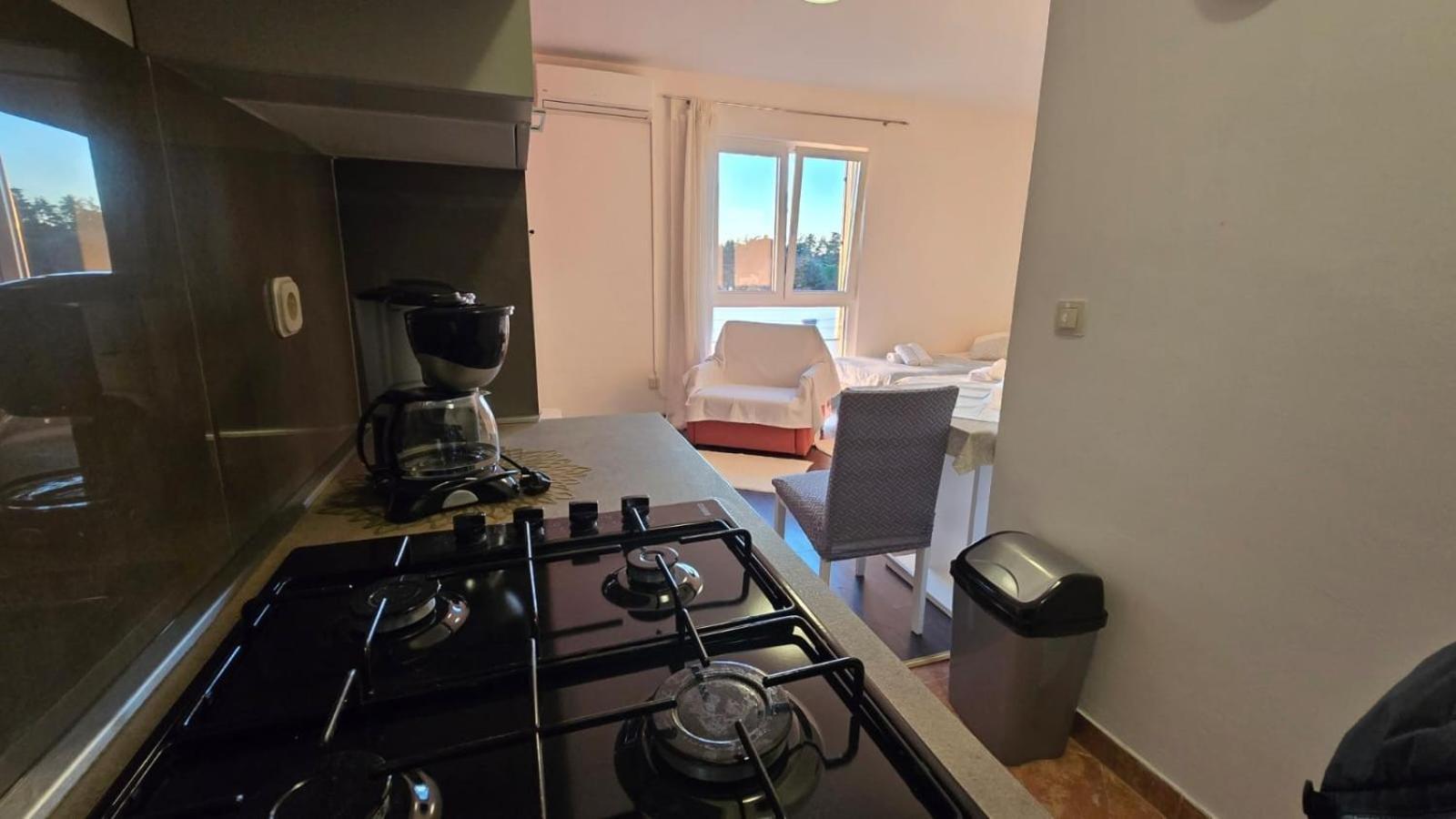 Studio Apartment Ljubica For 2 Persons 150M From The Beach Poreč Eksteriør billede